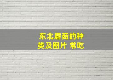 东北蘑菇的种类及图片 常吃